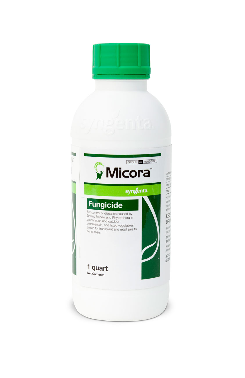 Micora® 1 Quart Bottle