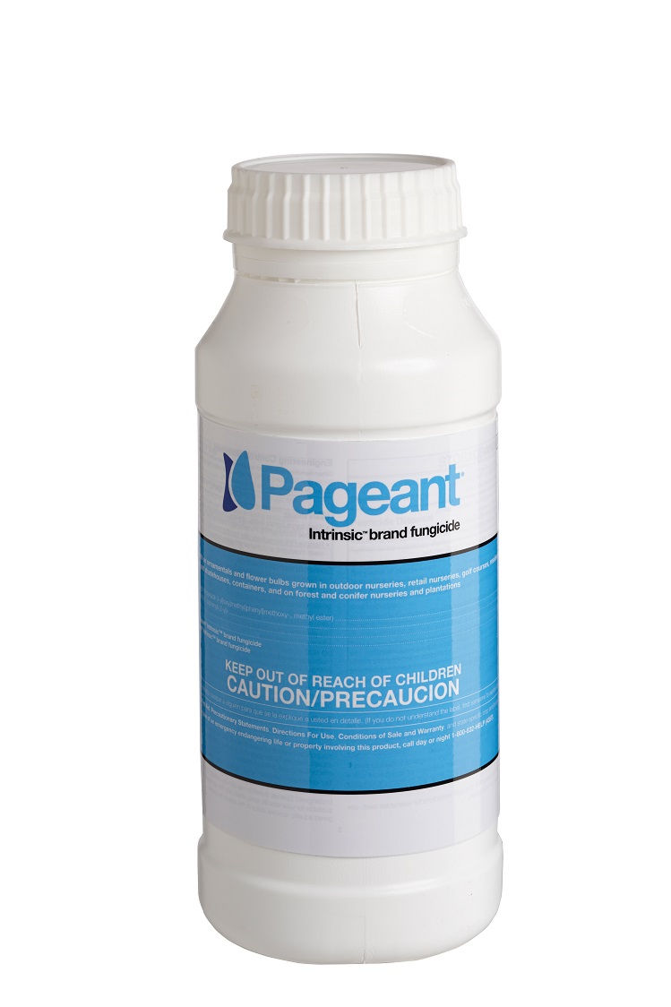 Pageant® Intrinsic® Fungicide 1 lb Bottle