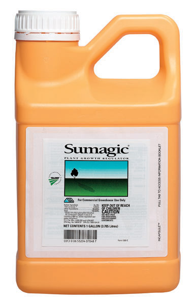 Sumagic® 1 Gallon Jug - 4 per case
