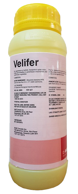 Velifer® Insecticide/Miticide 1 qt Bottle