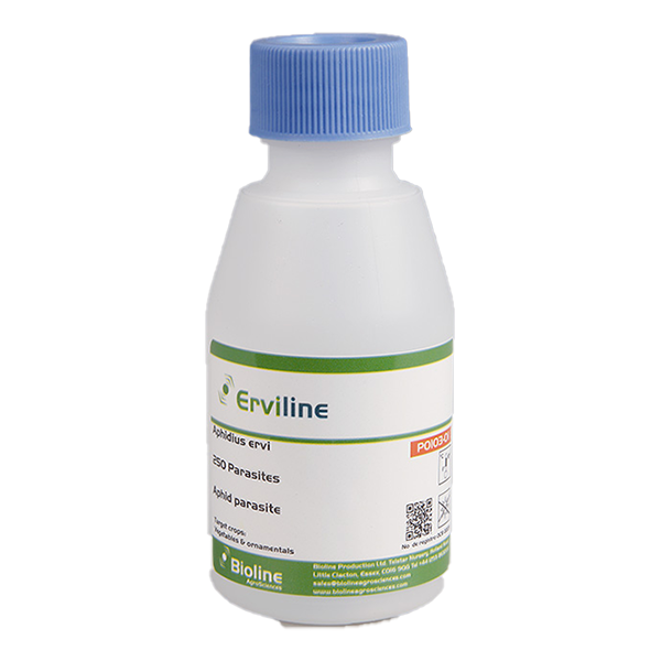 Erviline 250/125ml Bottle