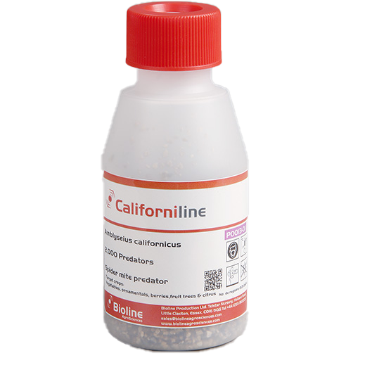 Californiline - 2000 per bottle
