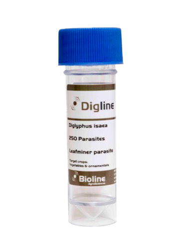 Digline - 250 Adults per vial