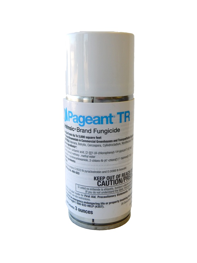 Pageant TR 3 oz Can