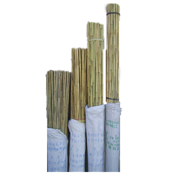 Bamboo Stake Natural 6' x 3/4" 18-20 mm 100/bale