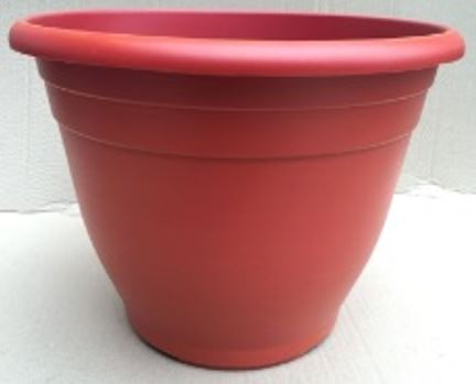 15 x 10.25 Royal Planter Red Yellow Wash - 30 per case