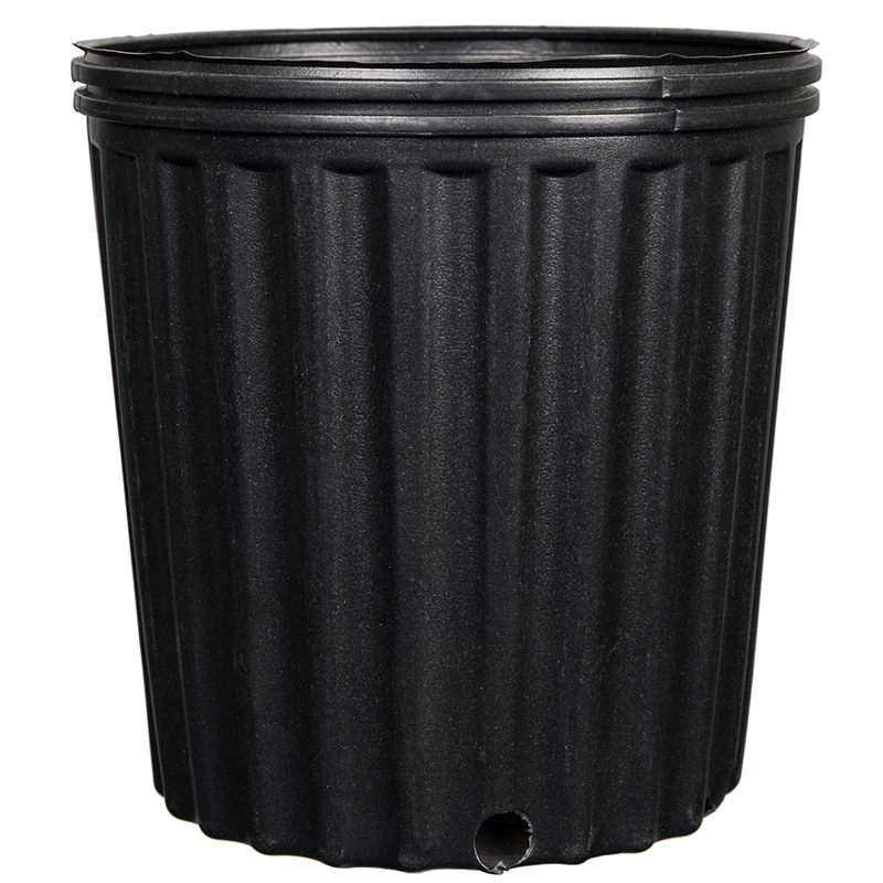 Nursery Pot Black 1 Gallon - 50 per sleeve
