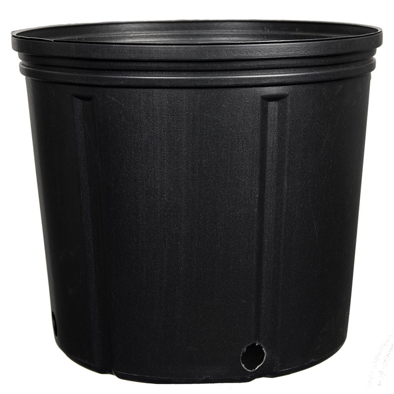 Nursery Pot Black 2 Gallon - 50 per sleeve