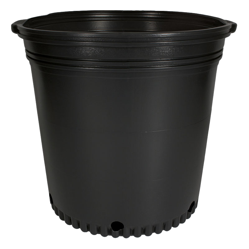 7 Gallon Whiteridge Nursery Pot Black – 25 per sleeve