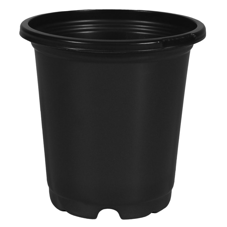 4.0 Standard Coex Pot White/Black Herb - 1260 per case