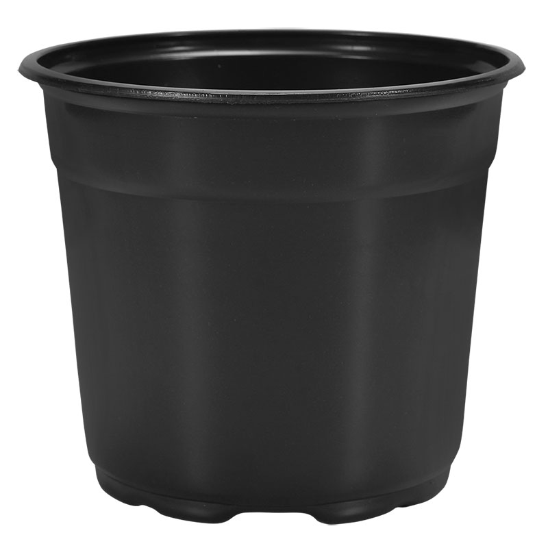 17cm Euro Pot Coex Short Blk/Blk - 11660 per pallet