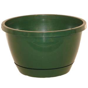 10.00 Basket Traditional With Saucer Green - 50 per case