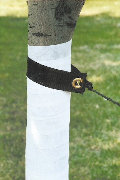 Dewitt Tree Slings Bulk Black 20" Roll - 60 per case