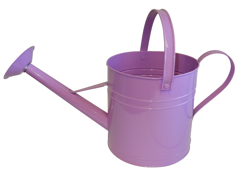 08.25 Watering Can Planter Purple - 6 per case
