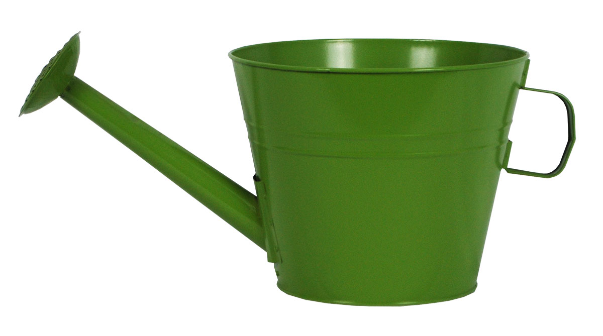 10 Inch Watering Can Planter Moss - 12 per case