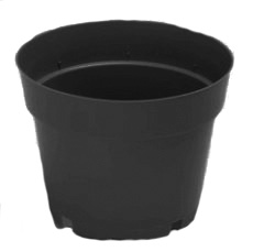 6.50" Round Azalea Maxi Grow Black - 240 per case